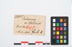 Foto von Bronzeraspel (NHMW-PRAE-025825)